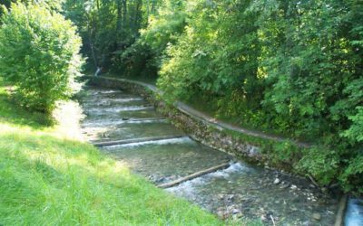 Die Hausbachklamm in Weiler-Simmerberg: Ein Naturerlebnis im Allgäu