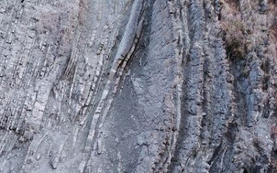 Der Flysch im Röthenbachtal: Ein geologisches Juwel bei Halblech