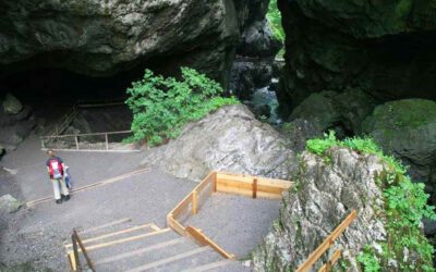 Die Rappenlochschlucht bei Dornbirn