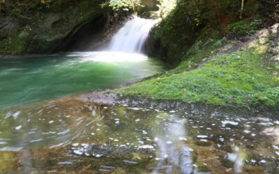 Der Eistobel bei Maierhöfen: Ein Naturwunder im Allgäu